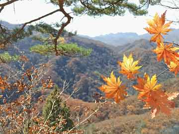 智慧健康小屋,最新杂志解释落实_一代